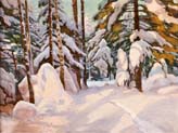 snow laiden pines